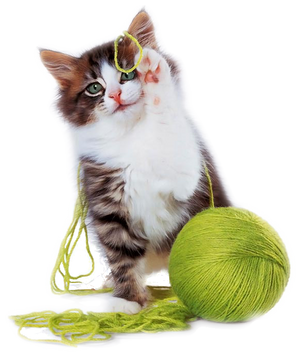 CAT TOYS